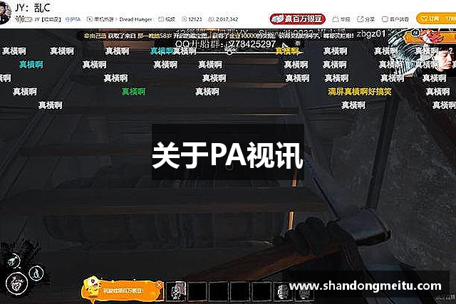 关于PA视讯